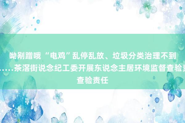 呦剐蹭哦 “电鸡”乱停乱放、垃圾分类治理不到位……茶滘街说念纪工委开展东说念主居环境监督查验责任