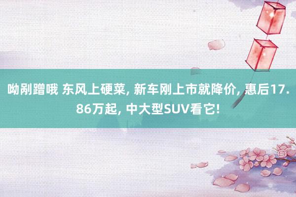 呦剐蹭哦 东风上硬菜， 新车刚上市就降价， 惠后17.86万起， 中大型SUV看它!