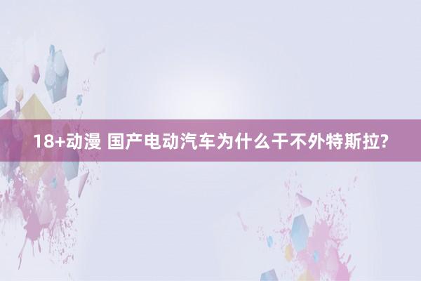 18+动漫 国产电动汽车为什么干不外特斯拉?