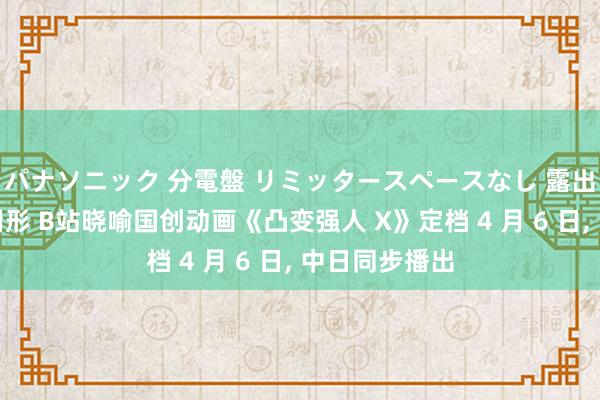 パナソニック 分電盤 リミッタースペースなし 露出・半埋込両用形 B站晓喻国创动画《凸变强人 X》定档 4 月 6 日， 中日同步播出