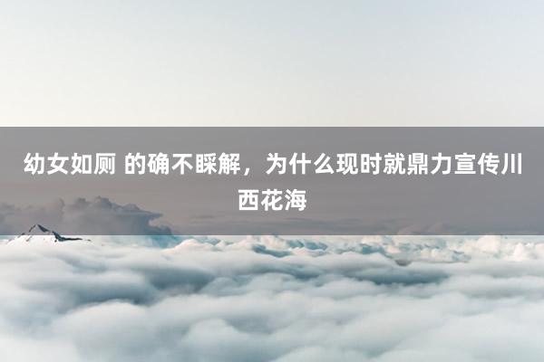 幼女如厕 的确不睬解,为什么现时就鼎力宣传川西花海