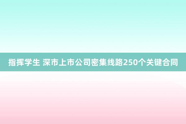 指挥学生 深市上市公司密集线路250个关键合同